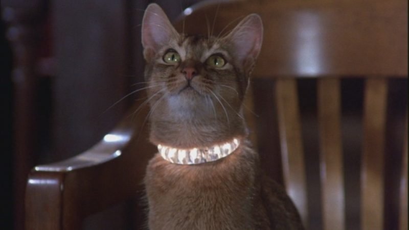 Jake from The Cat From Outer Space